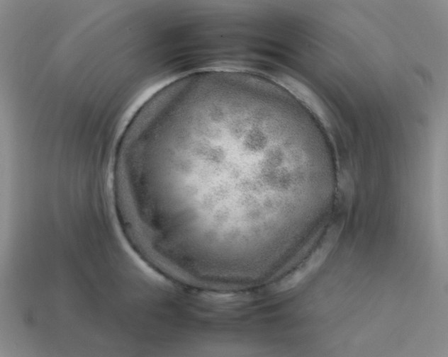 X0000114060855200910191459