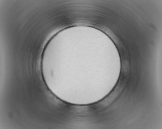 X0000114060856200910191459