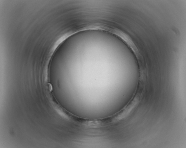 X0000114060858200910191459