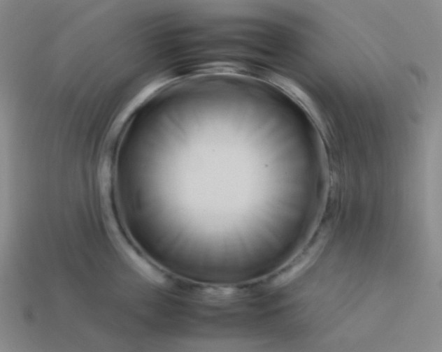 X0000114060859200910191459