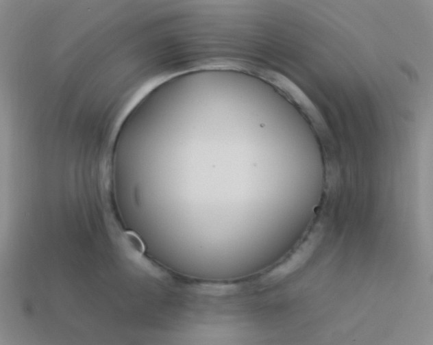 X0000114060860200910191459