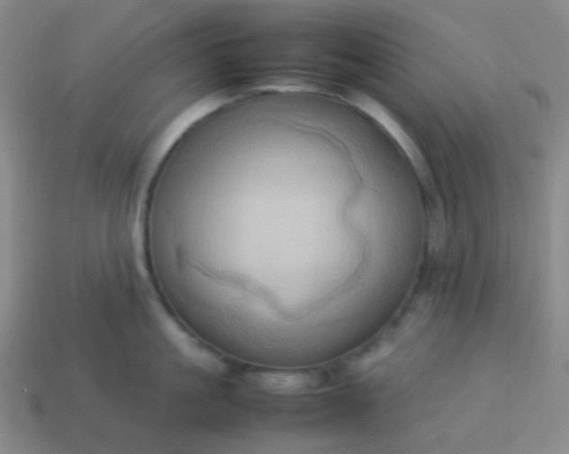 X0000114060861200910191459