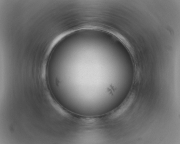 X0000114060862200910191459