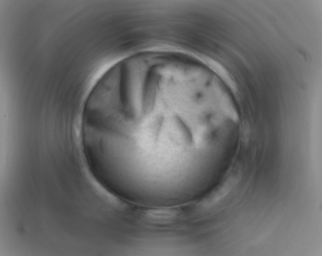 X0000114060863200910191459