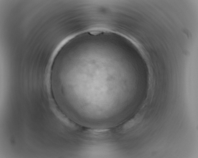 X0000114060864200910191500