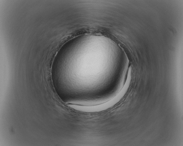 X0000114060865200910191459