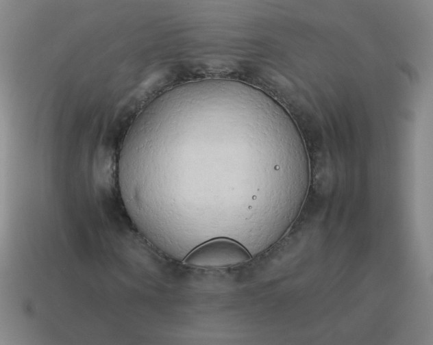 X0000114060866200910191459