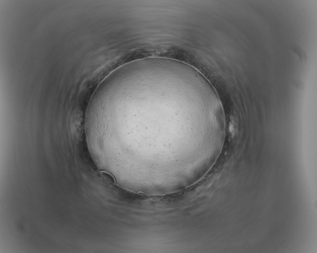 X0000114060867200910191459