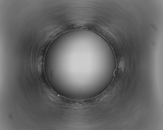 X0000114060868200910191459