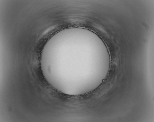 X0000114060869200910191459