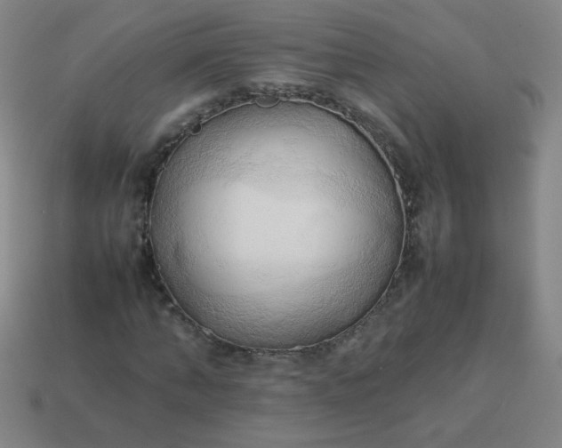 X0000114060870200910191459