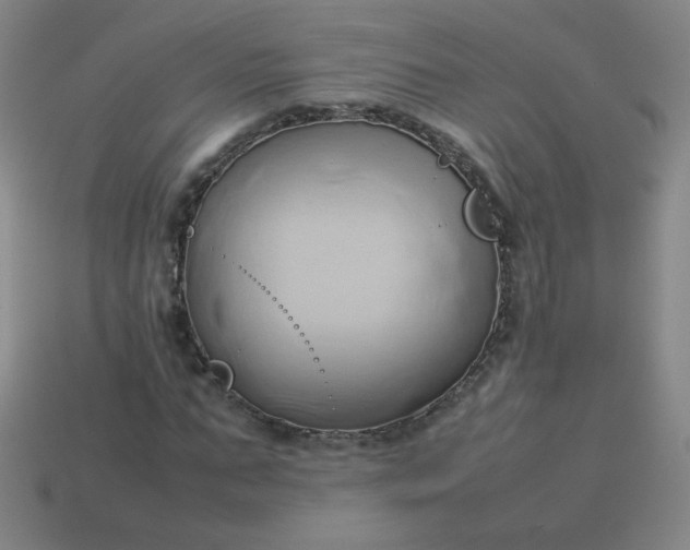 X0000114060871200910191459