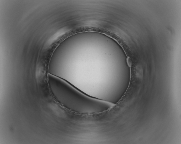 X0000114060872200910191459