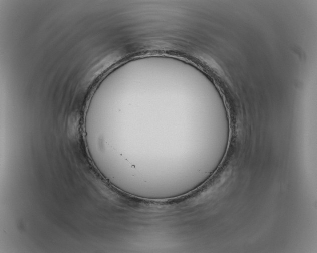 X0000114060873200910191459