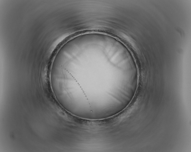 X0000114060875200910191459