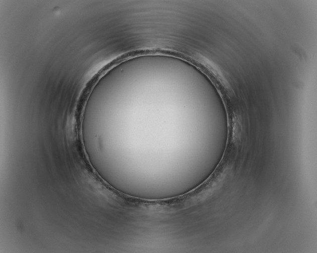 X0000114060876200910191459