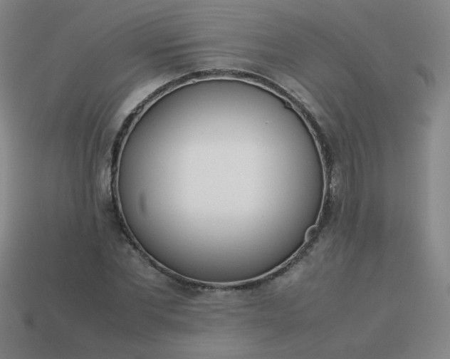 X0000114060877200910191459