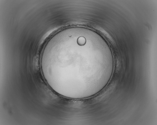 X0000114060878200910191459