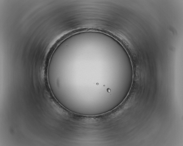 X0000114060880200910191459