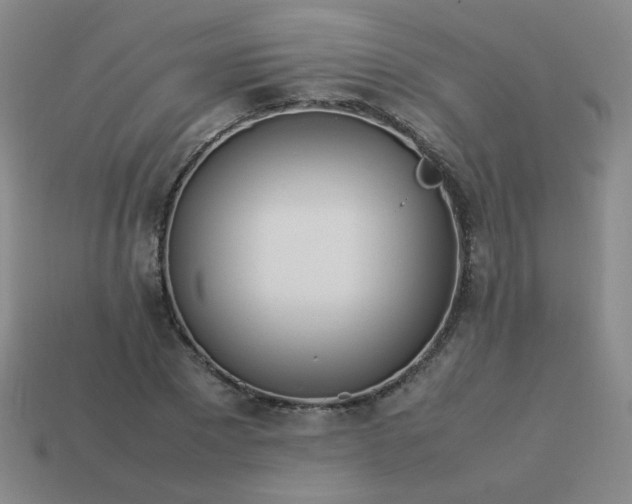 X0000114060881200910191459