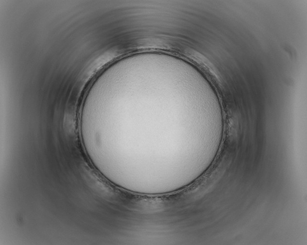 X0000114060882200910191459