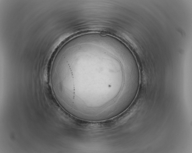 X0000114060883200910191459