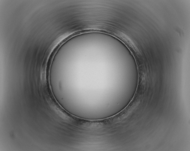 X0000114060884200910191459