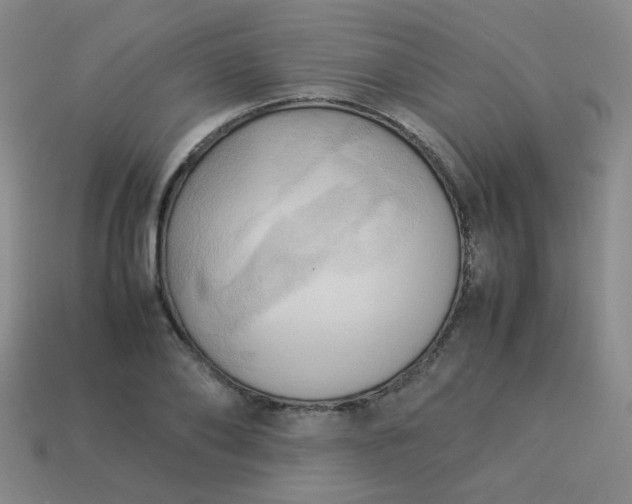 X0000114060886200910191459