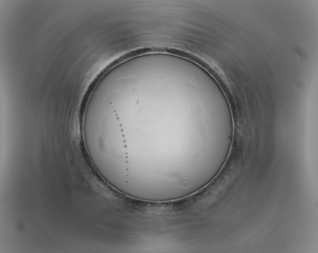 X0000114060887200910191459