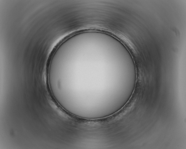 X0000114060888200910191459