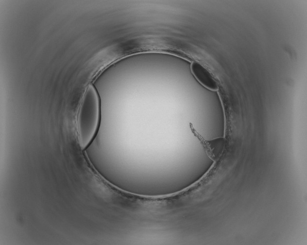 X0000114060889200910191459