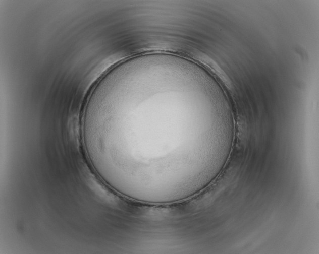 X0000114060890200910191459