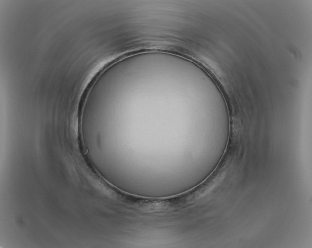 X0000114060891200910191459