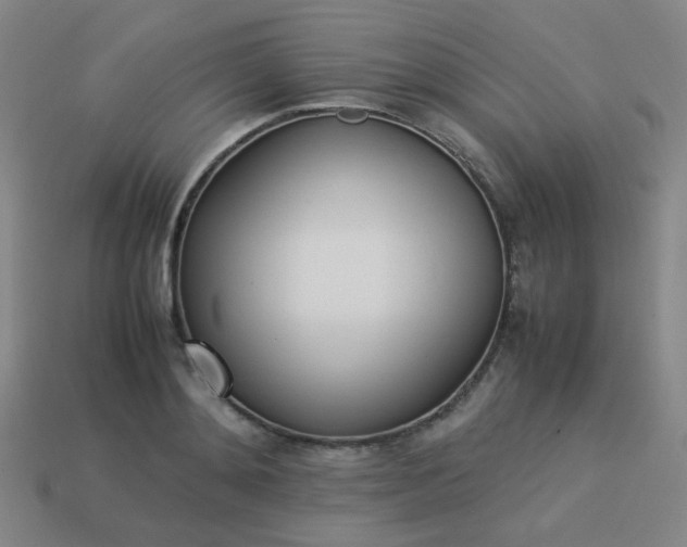 X0000114060892200910191459