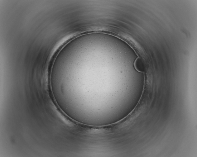 X0000114060894200910191459