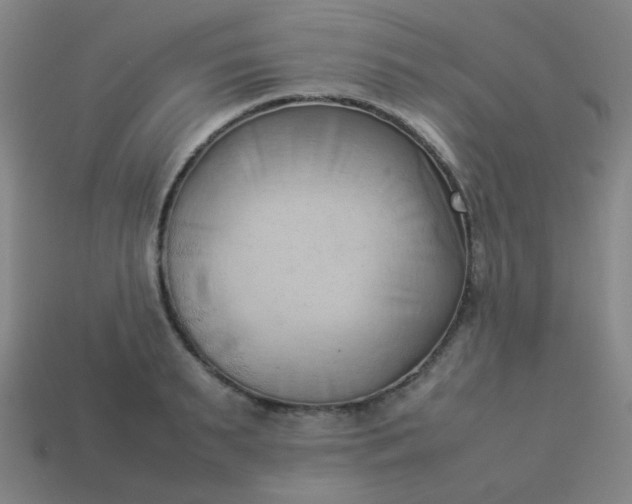 X0000114060895200910191459