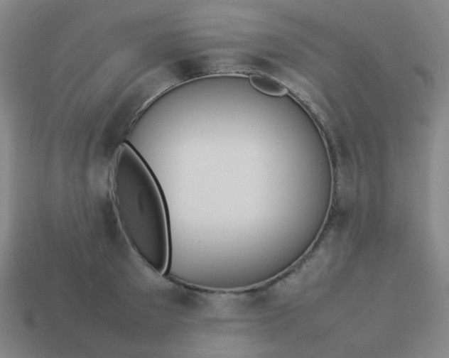 X0000114060897200910191458