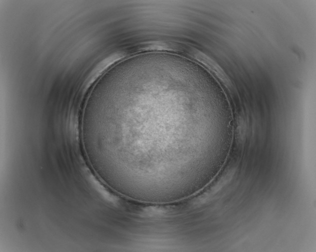 X0000114060898200910191458