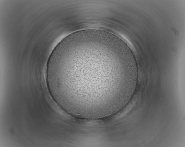 X0000114060899200910191458