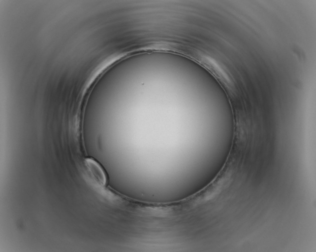 X0000114060900200910191458