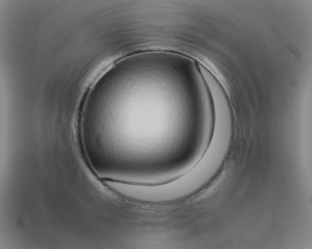 X0000114060901200910191458