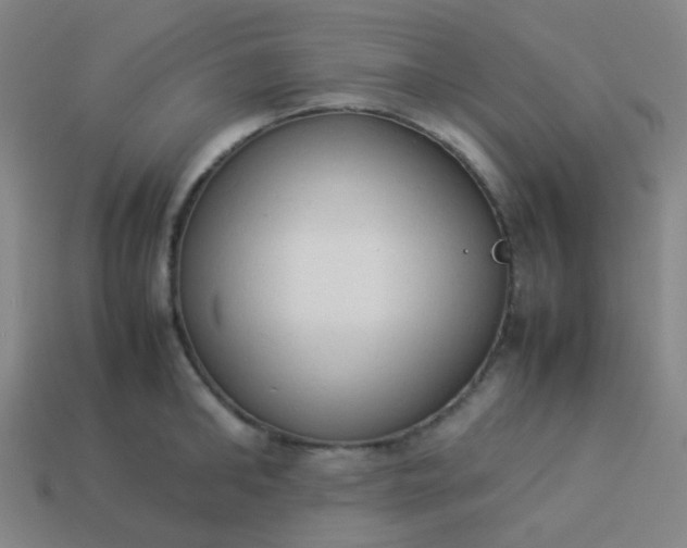 X0000114060902200910191458