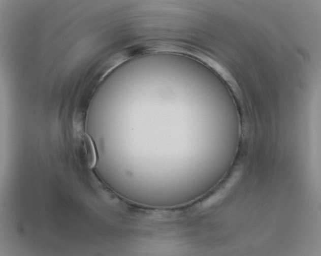 X0000114060905200910191458