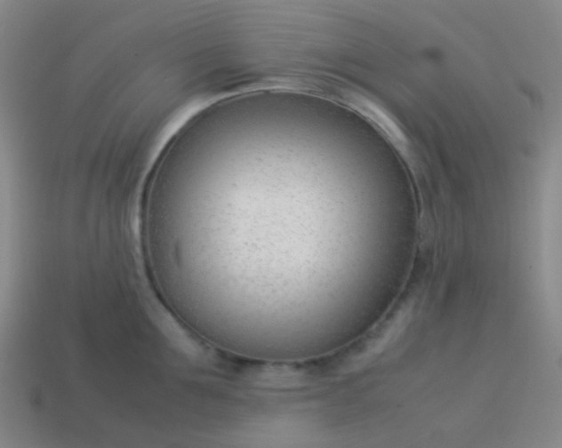 X0000114060907200910191458