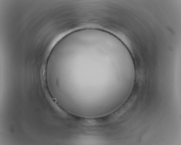 X0000114060911200910191458