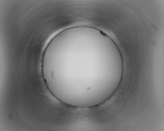 X0000114060912200910191458