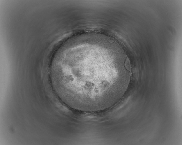 X0000114060913200910191458