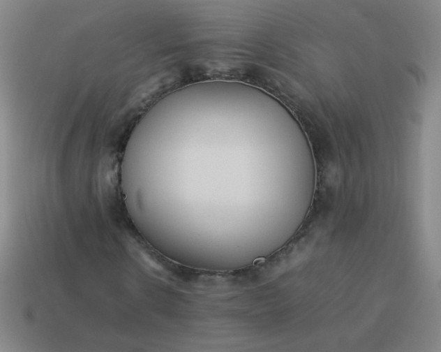 X0000114060914200910191458