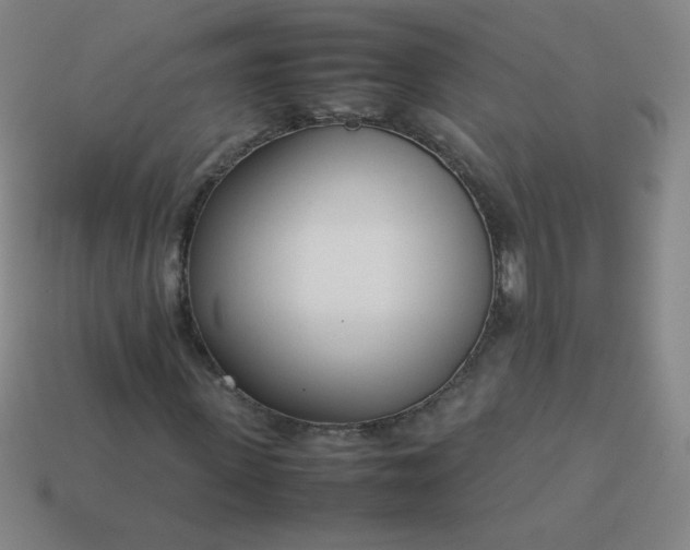 X0000114060915200910191458