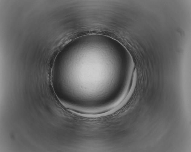 X0000114060916200910191458